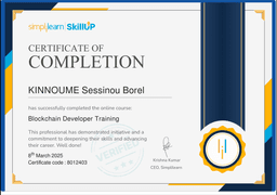 Blockchain Developer Training
